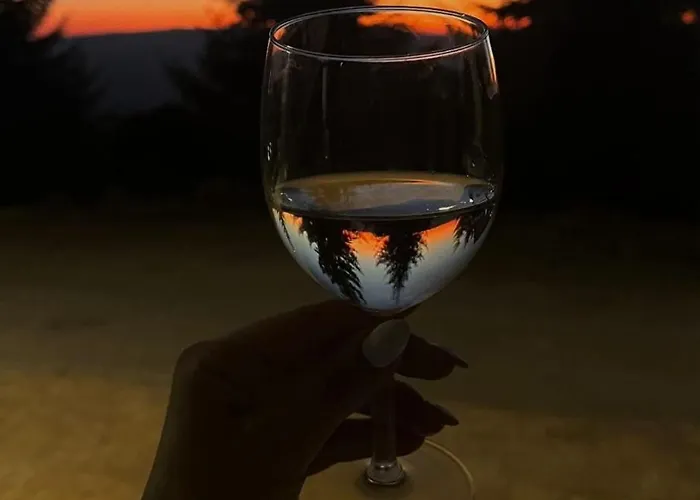 Apartman Gencian Kopaonik